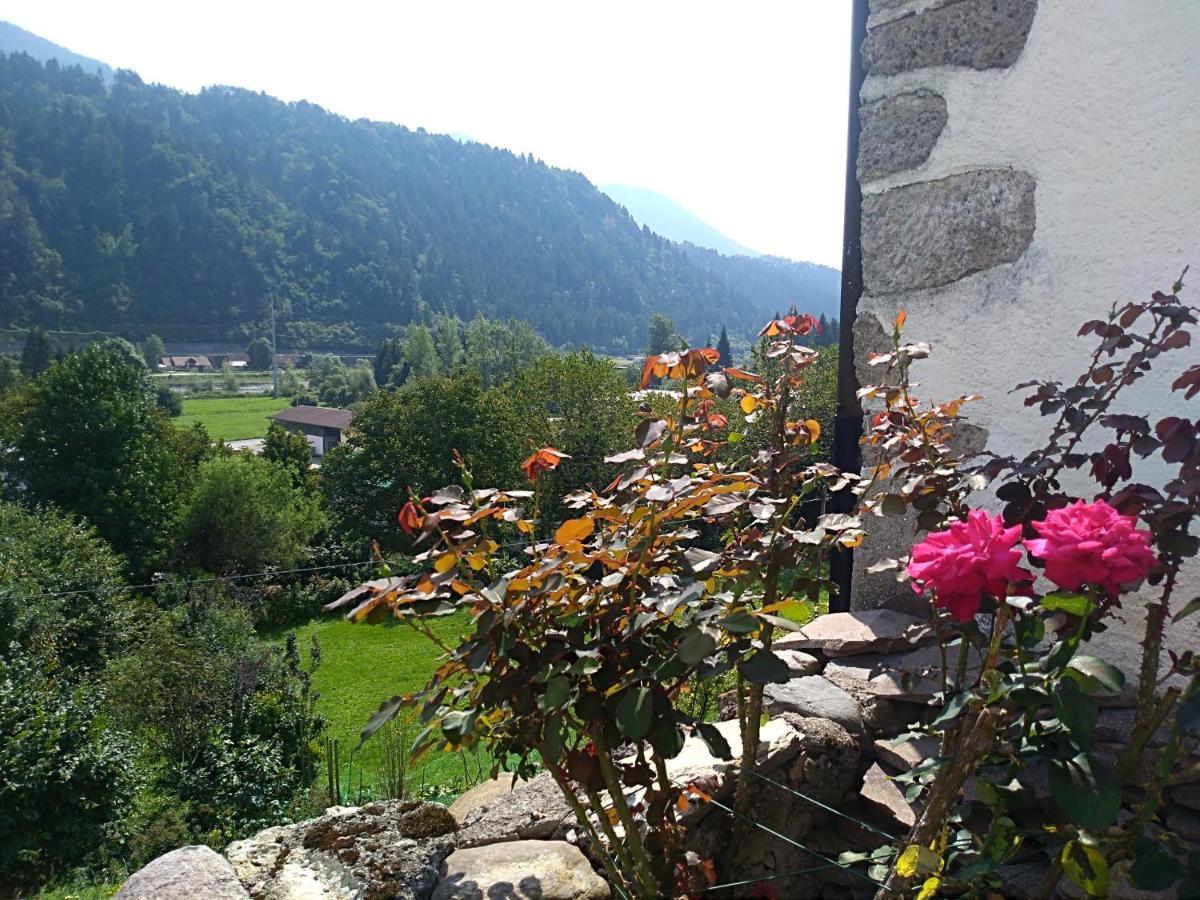 Cjasa Da Puci Apartamento Ovaro Exterior foto