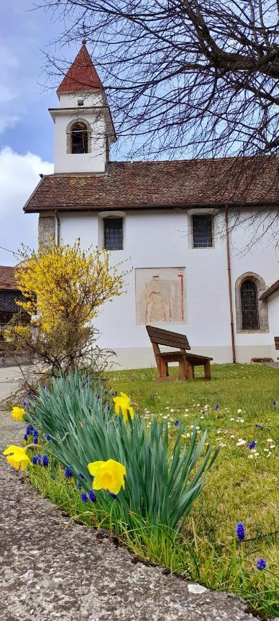 Cjasa Da Puci Apartamento Ovaro Exterior foto